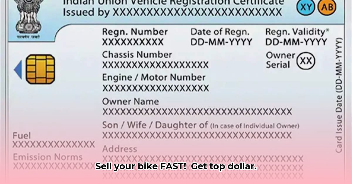 bluebook-download-bike